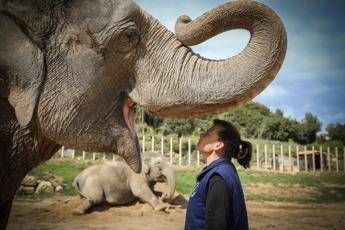 Stéphanie di Monaco: Il circo? Mai senza animali Stéphanie di Monaco: Il circo? Mai senza animali